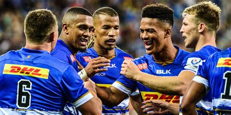stormers rugby news today